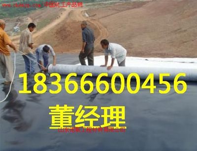 河北玻纖格柵廠家諾聯(lián) 高清產(chǎn)品圖與樣板圖賞析——中國化工產(chǎn)品網(wǎng)聚焦玻璃纖維